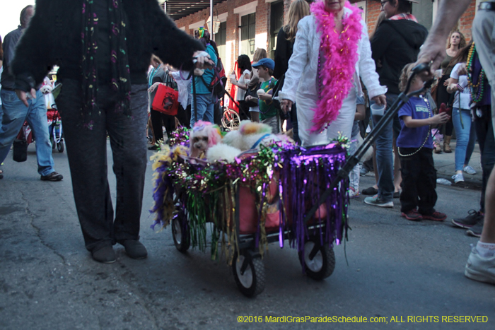 2016-Mystic-Krewe-of-Barkus-005034