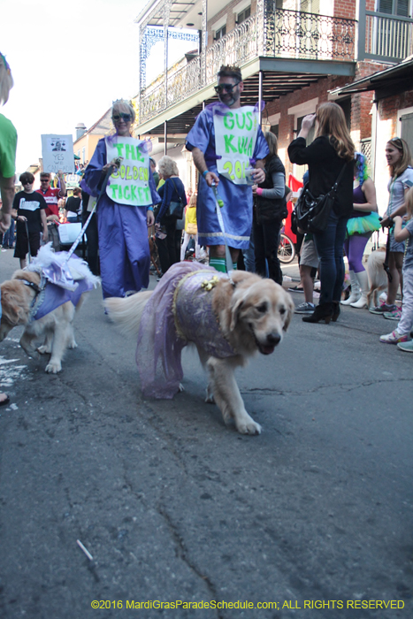 2016-Mystic-Krewe-of-Barkus-005052