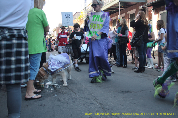 2016-Mystic-Krewe-of-Barkus-005054