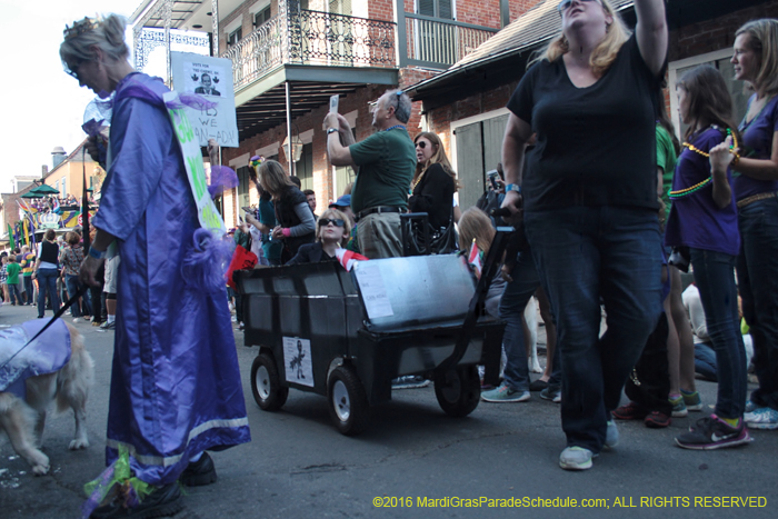 2016-Mystic-Krewe-of-Barkus-005057