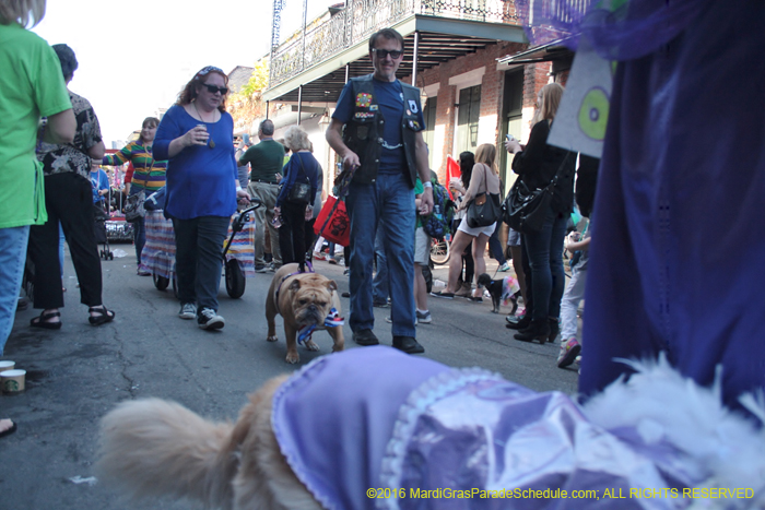 2016-Mystic-Krewe-of-Barkus-005061