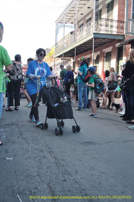 2016-Mystic-Krewe-of-Barkus-005064