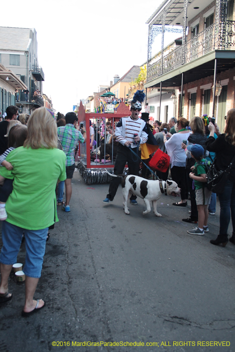 2016-Mystic-Krewe-of-Barkus-005065