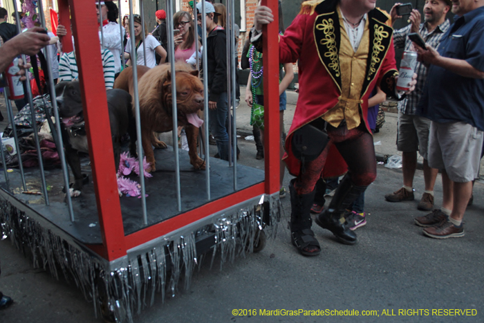 2016-Mystic-Krewe-of-Barkus-005072