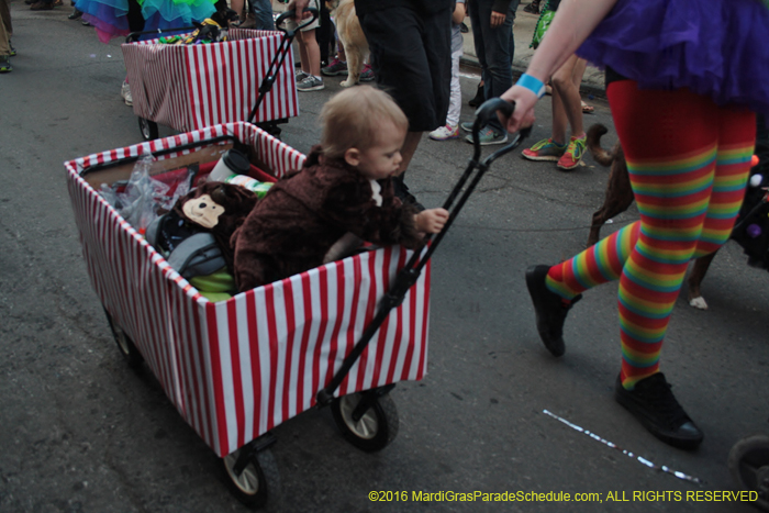 2016-Mystic-Krewe-of-Barkus-005076