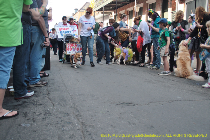 2016-Mystic-Krewe-of-Barkus-005084