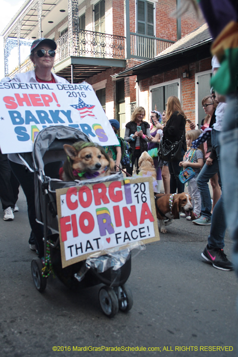 2016-Mystic-Krewe-of-Barkus-005086