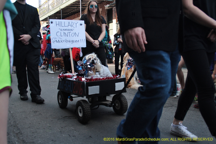 2016-Mystic-Krewe-of-Barkus-005094