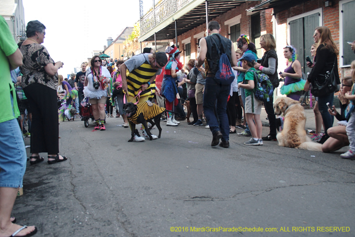 2016-Mystic-Krewe-of-Barkus-005100