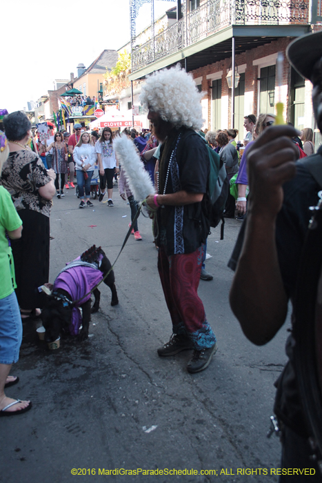 2016-Mystic-Krewe-of-Barkus-005112