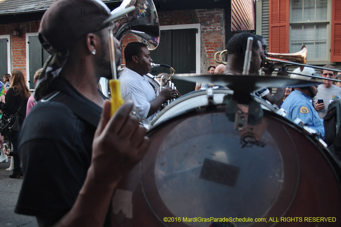 2016-Mystic-Krewe-of-Barkus-005113