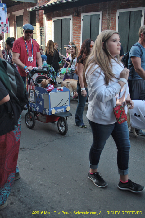 2016-Mystic-Krewe-of-Barkus-005114