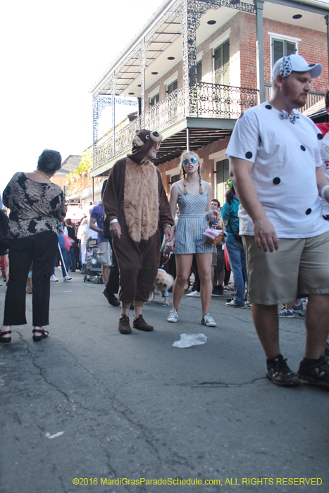 2016-Mystic-Krewe-of-Barkus-005121