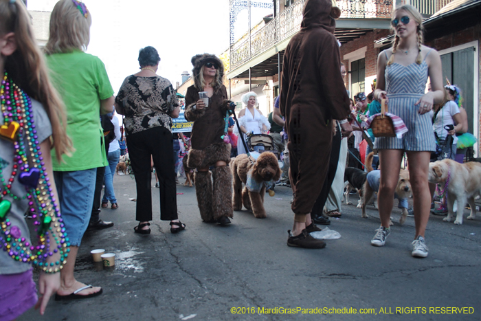 2016-Mystic-Krewe-of-Barkus-005123