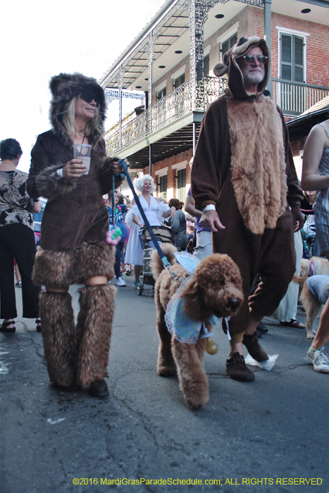 2016-Mystic-Krewe-of-Barkus-005125