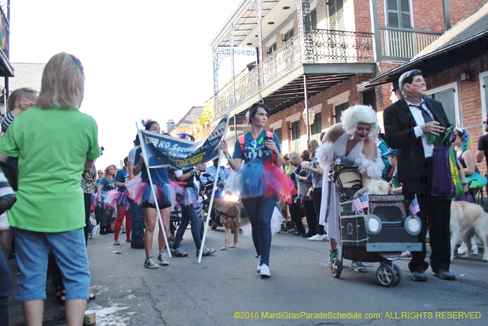 2016-Mystic-Krewe-of-Barkus-005130