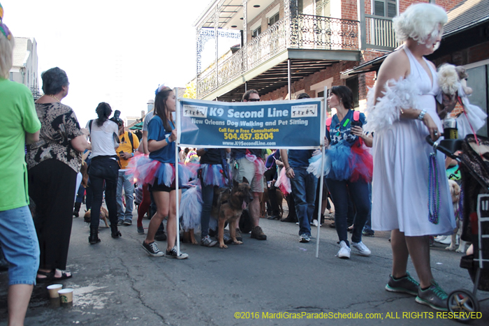 2016-Mystic-Krewe-of-Barkus-005133