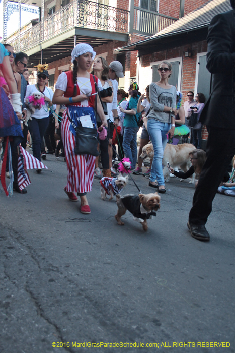 2016-Mystic-Krewe-of-Barkus-005136