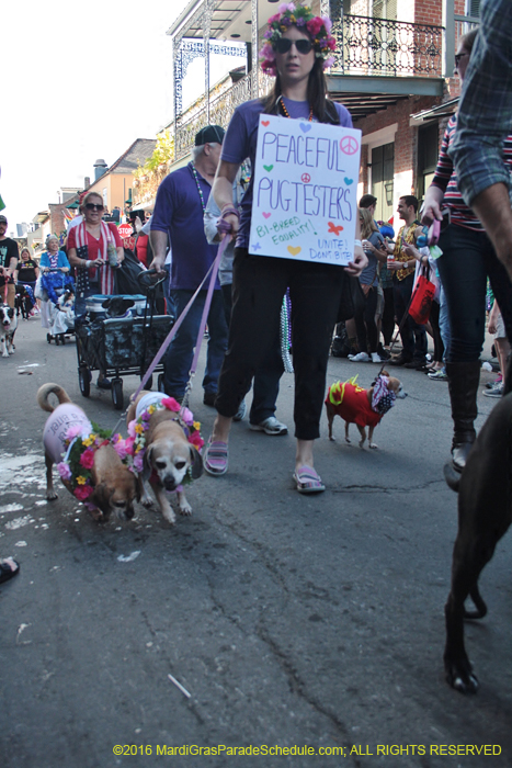 2016-Mystic-Krewe-of-Barkus-005144