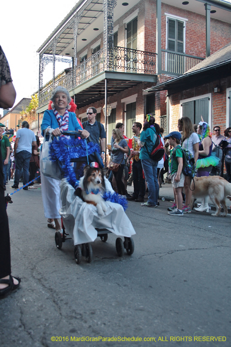 2016-Mystic-Krewe-of-Barkus-005158