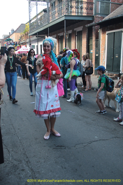 2016-Mystic-Krewe-of-Barkus-005189