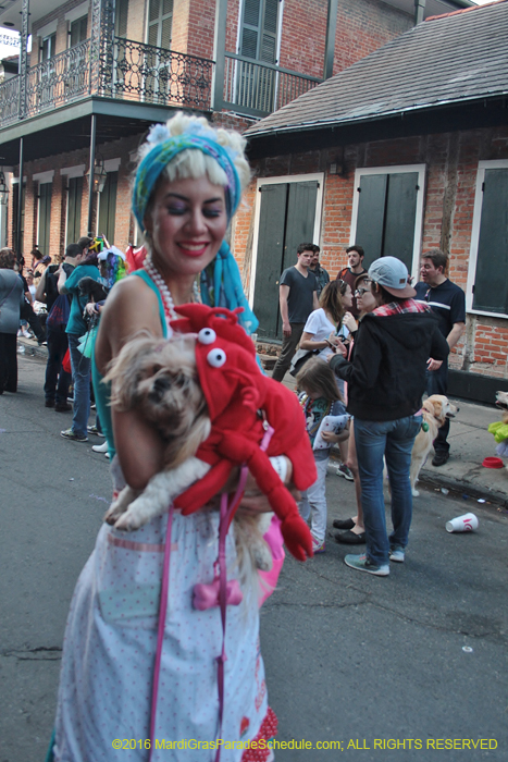 2016-Mystic-Krewe-of-Barkus-005191