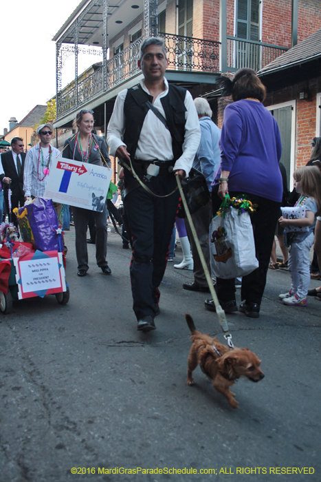 2016-Mystic-Krewe-of-Barkus-005194