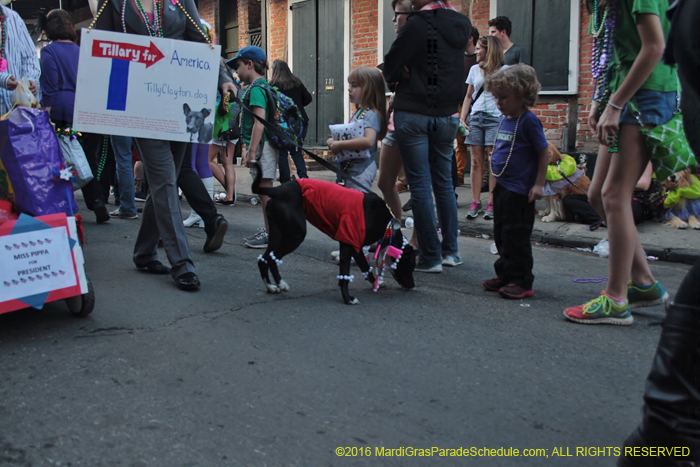 2016-Mystic-Krewe-of-Barkus-005199