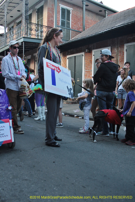 2016-Mystic-Krewe-of-Barkus-005201