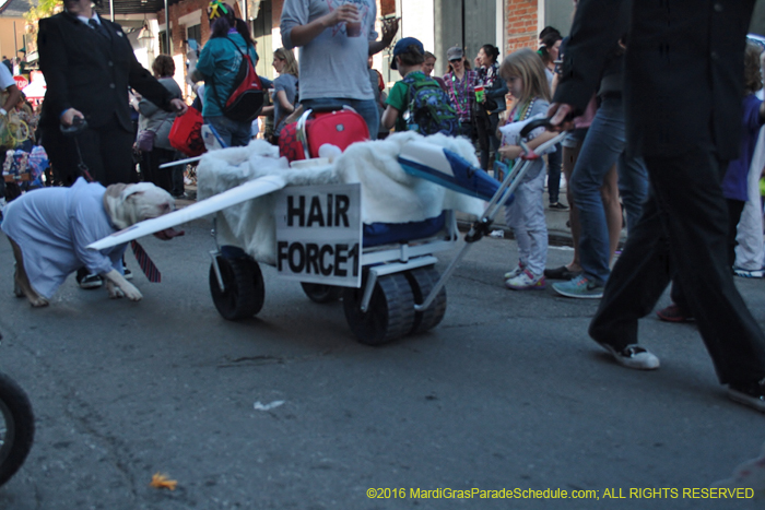 2016-Mystic-Krewe-of-Barkus-005220