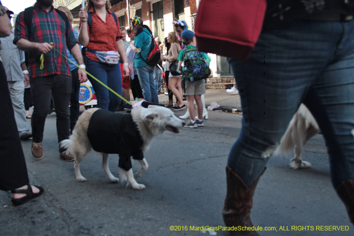 2016-Mystic-Krewe-of-Barkus-005236