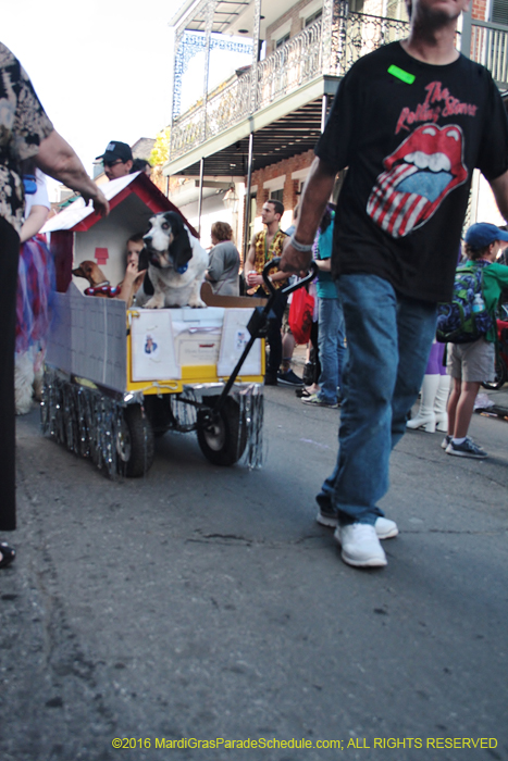 2016-Mystic-Krewe-of-Barkus-005244