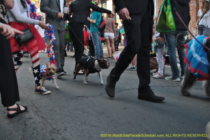 2016-Mystic-Krewe-of-Barkus-005249