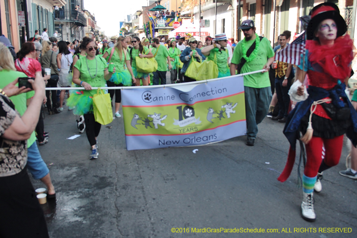 2016-Mystic-Krewe-of-Barkus-005255