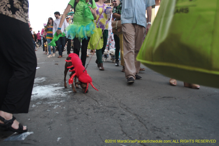 2016-Mystic-Krewe-of-Barkus-005262