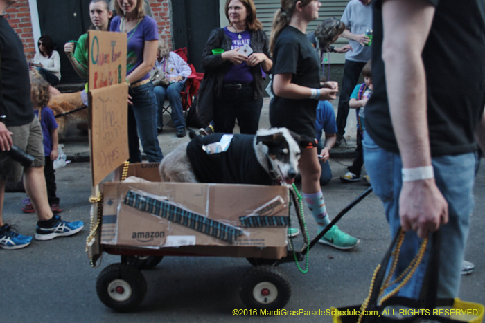 2016-Mystic-Krewe-of-Barkus-005275