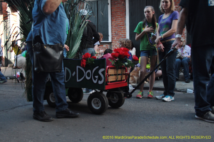 2016-Mystic-Krewe-of-Barkus-005285