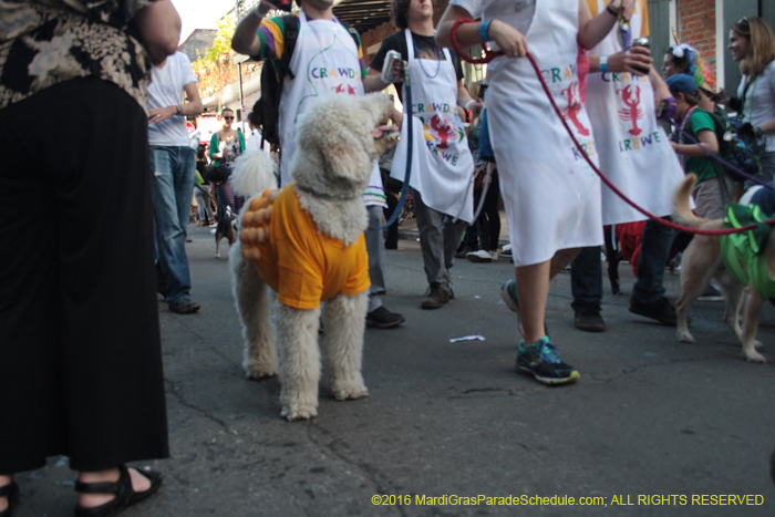 2016-Mystic-Krewe-of-Barkus-005298