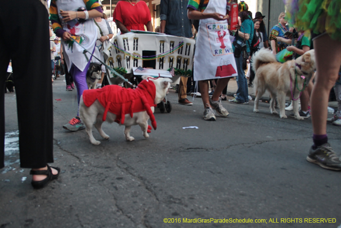 2016-Mystic-Krewe-of-Barkus-005303