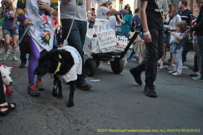 2016-Mystic-Krewe-of-Barkus-005310