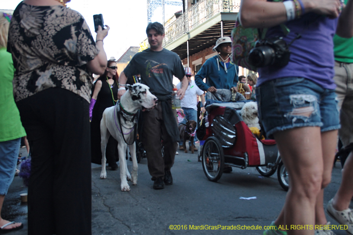 2016-Mystic-Krewe-of-Barkus-005315