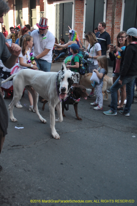 2016-Mystic-Krewe-of-Barkus-005319