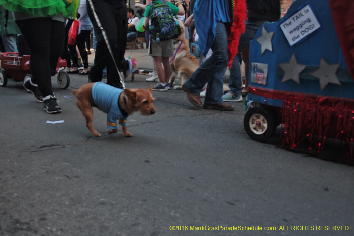 2016-Mystic-Krewe-of-Barkus-005323