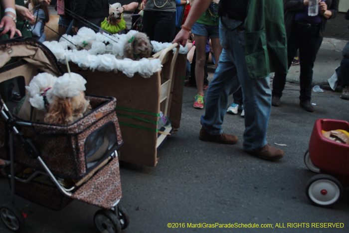 2016-Mystic-Krewe-of-Barkus-005326