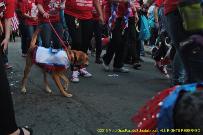 2016-Mystic-Krewe-of-Barkus-005333