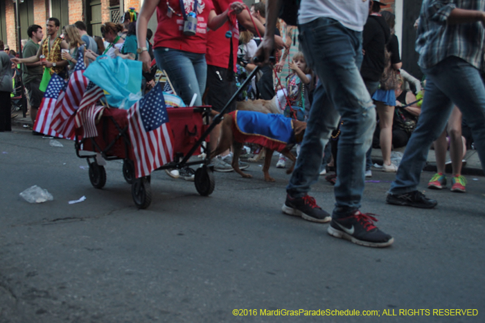 2016-Mystic-Krewe-of-Barkus-005346