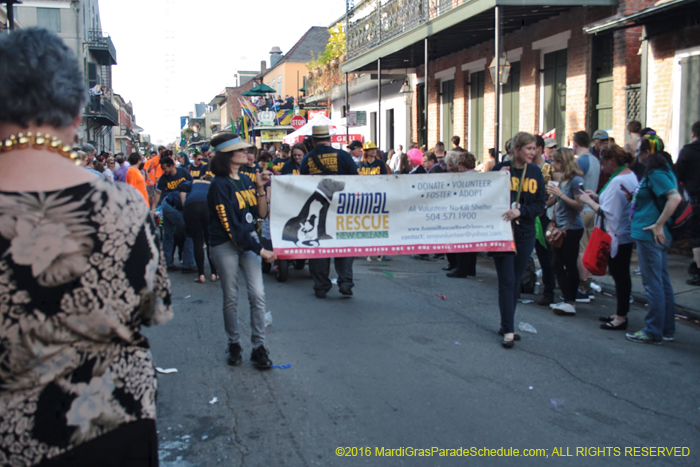 2016-Mystic-Krewe-of-Barkus-005347