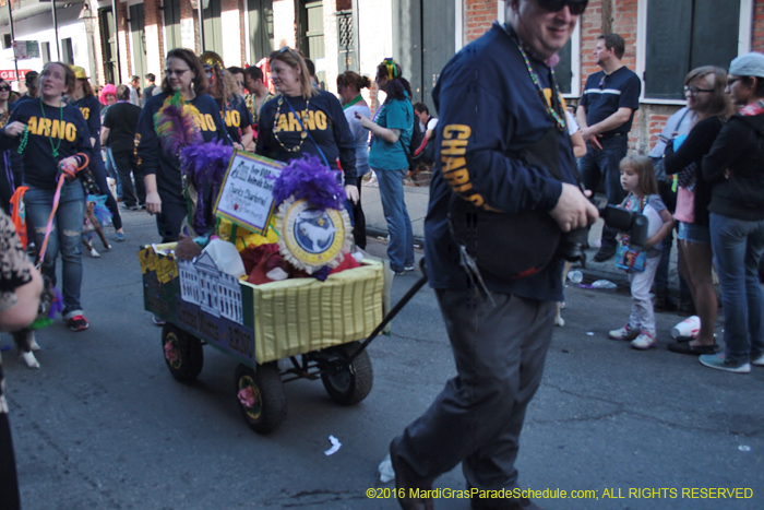 2016-Mystic-Krewe-of-Barkus-005348