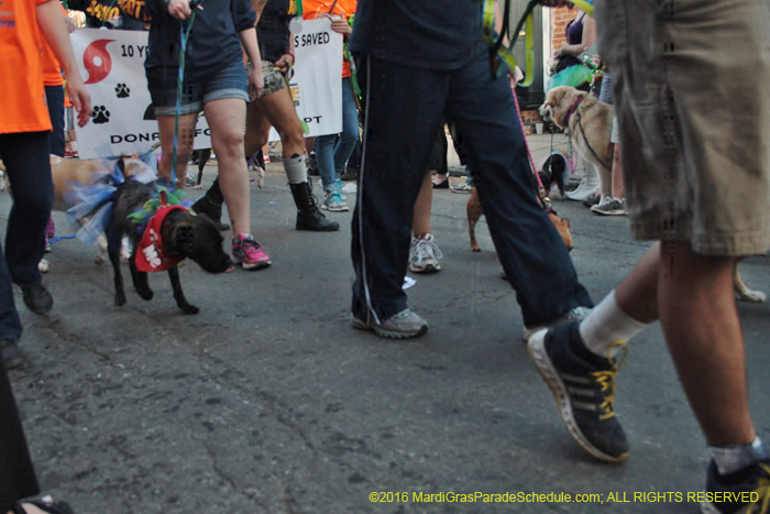 2016-Mystic-Krewe-of-Barkus-005354