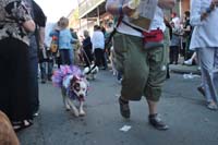 2016-Mystic-Krewe-of-Barkus-004709